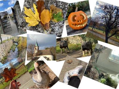 Hinterleithner_Herbstcollage_2